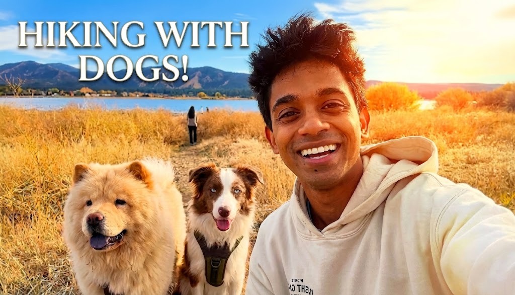 Hiking With Dogs!